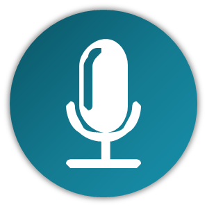 Voice-based Simulations